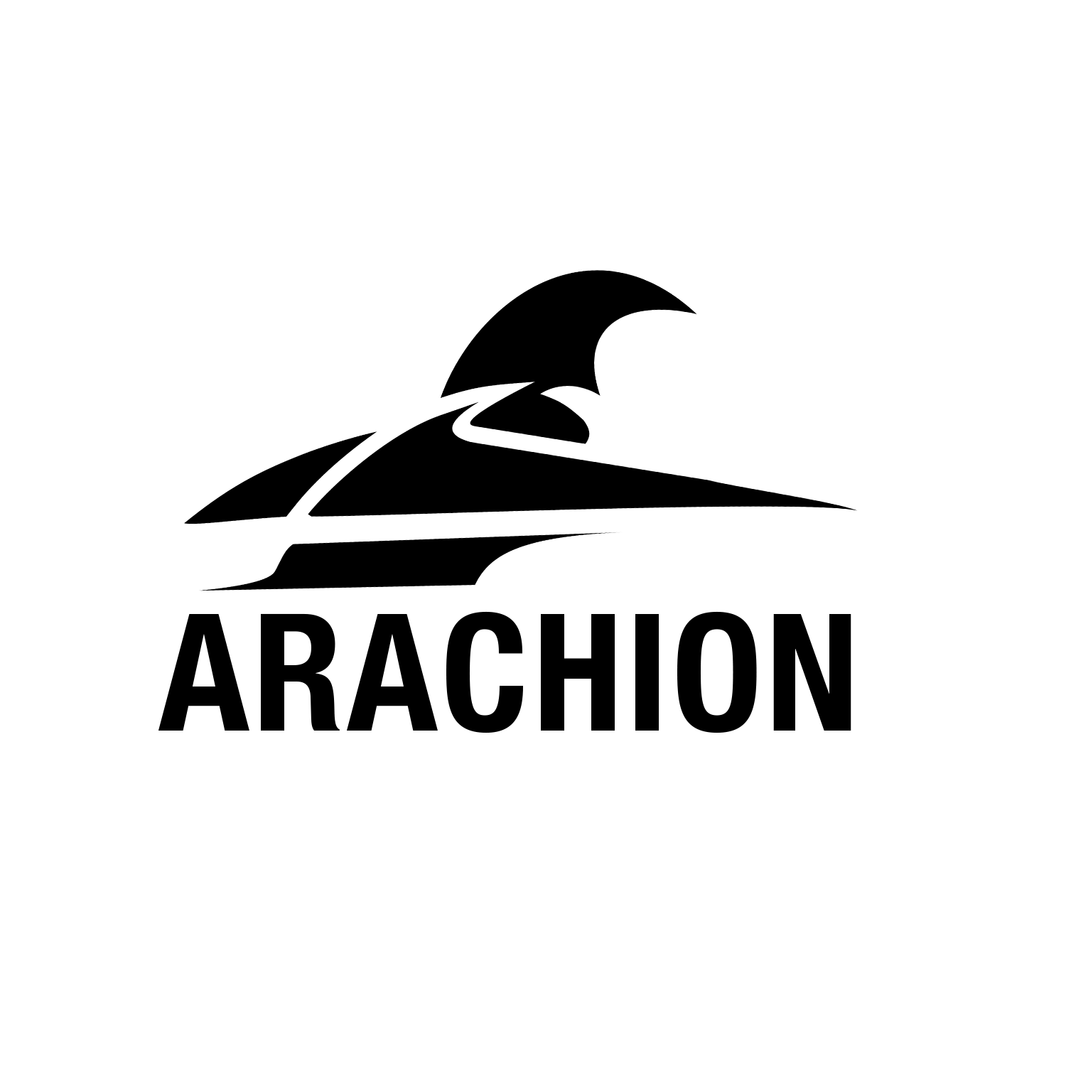 Arachion